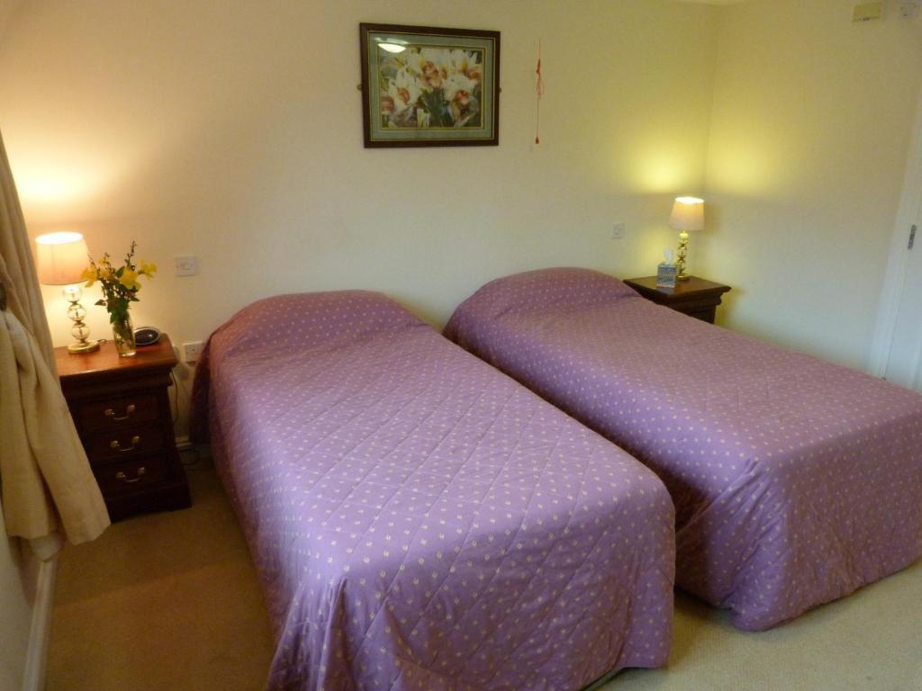 Cameley Lodge - Self Catering Temple Cloud Rom bilde