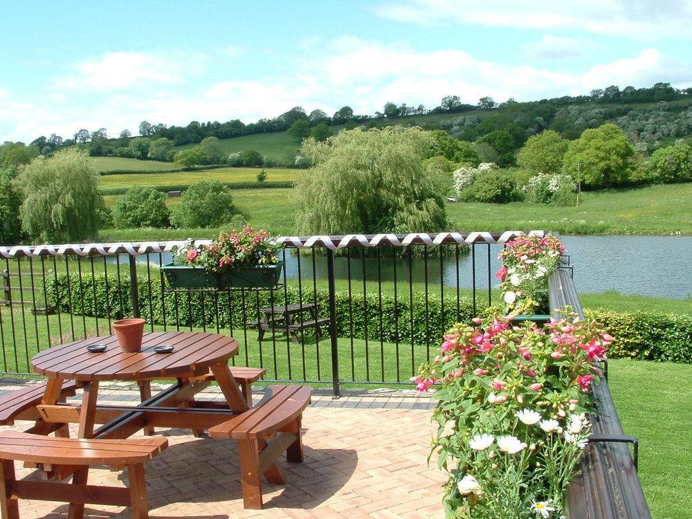 Cameley Lodge - Self Catering Temple Cloud Eksteriør bilde